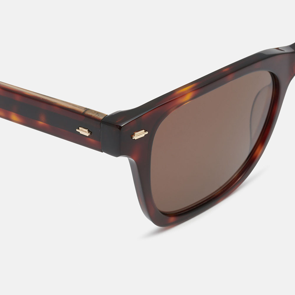 m&oacute; FITZ SUN, carey, large image number 2