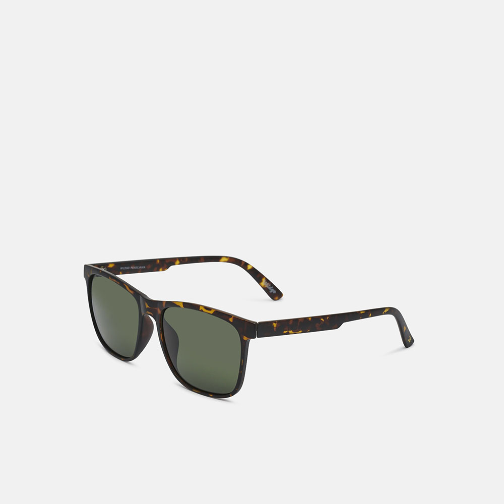 Wildgo PENSILVANIA SUN, carey, large image number 1