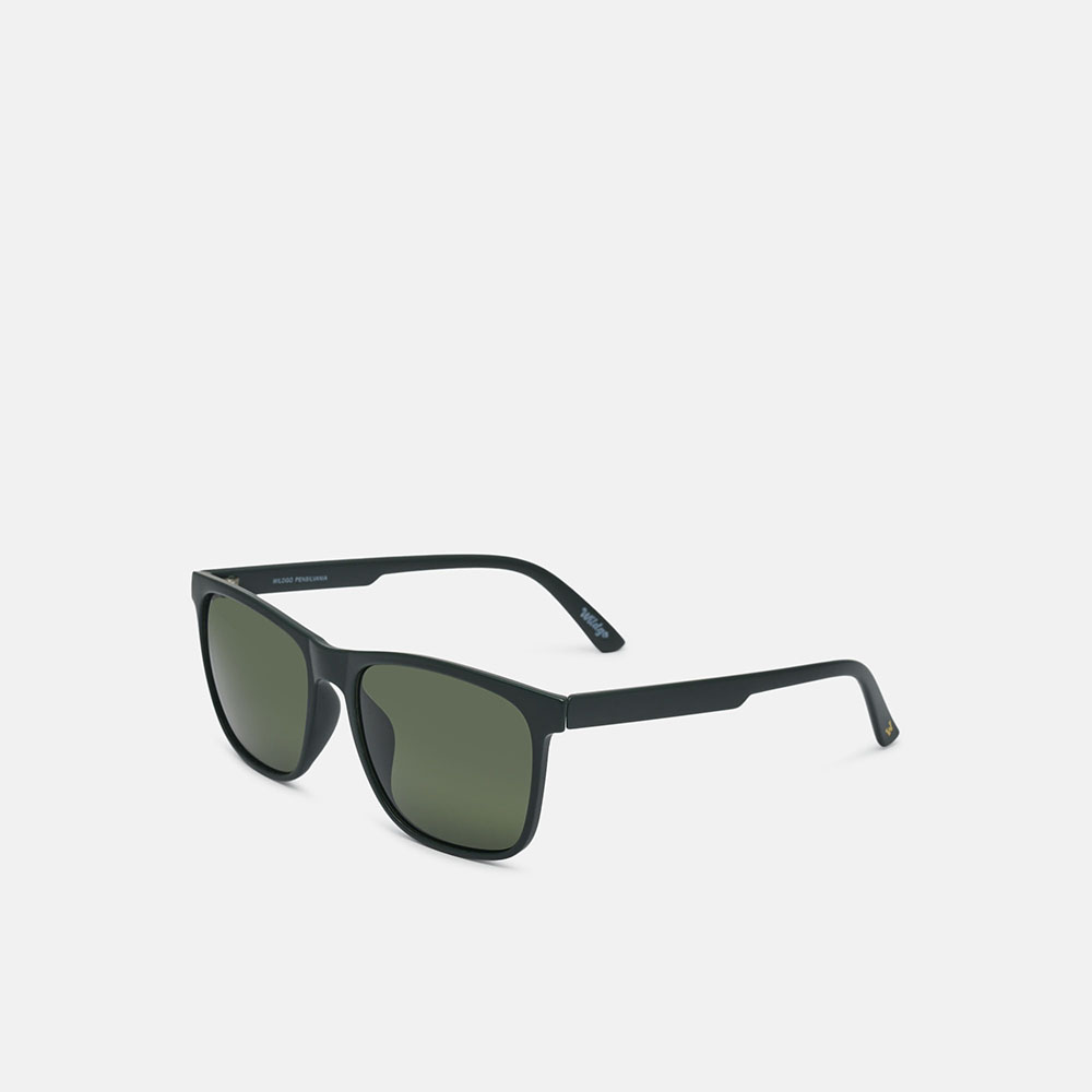 Wildgo PENSILVANIA SUN, green, large image number 1