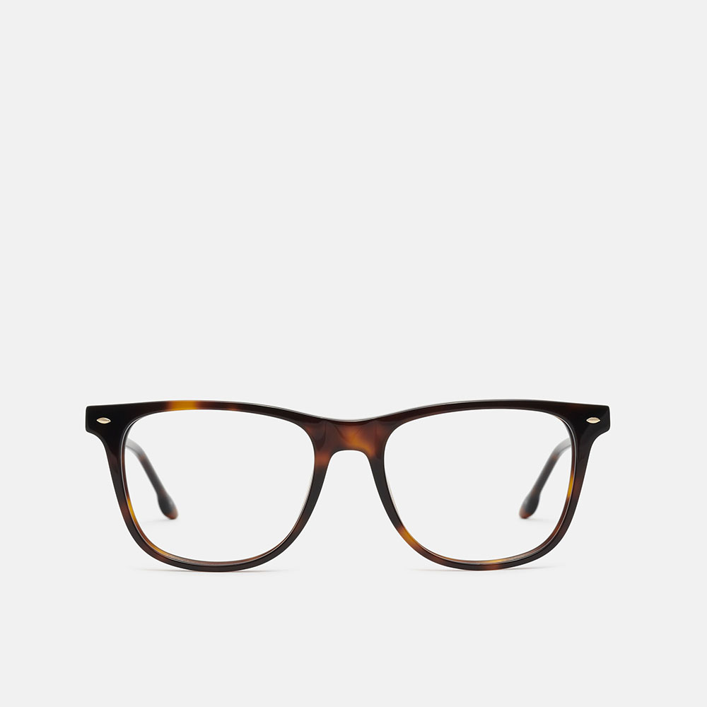 m&oacute; JAZMIN, carey, large image number 0